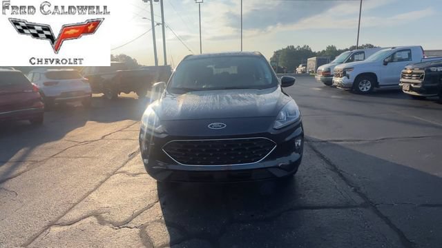 Used 2022 Ford Escape SEL w/ SEL Stealth AWD Package image 3