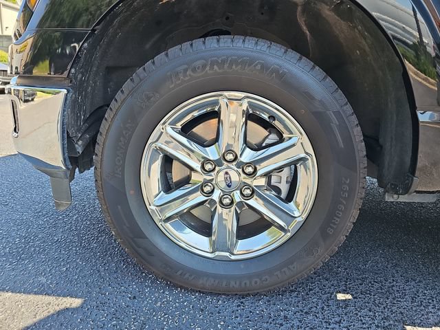 Used 2025 Ford F150 XLT w/ Equipment Group 301A Standard RWD image 32
