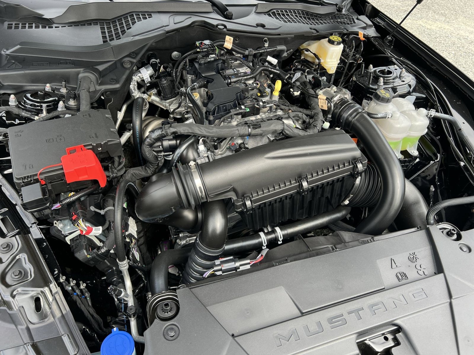 New 2026 Ford Mustang Coupe RWD image 25