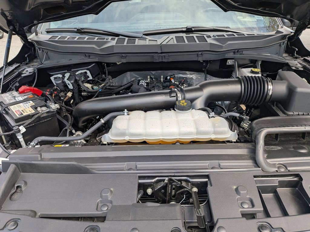 Used 2025 Ford F150 XLT w/ Equipment Group 301A Standard image 14