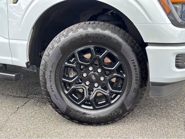 Used 2025 Ford F150 STX AWD/4WD image 4