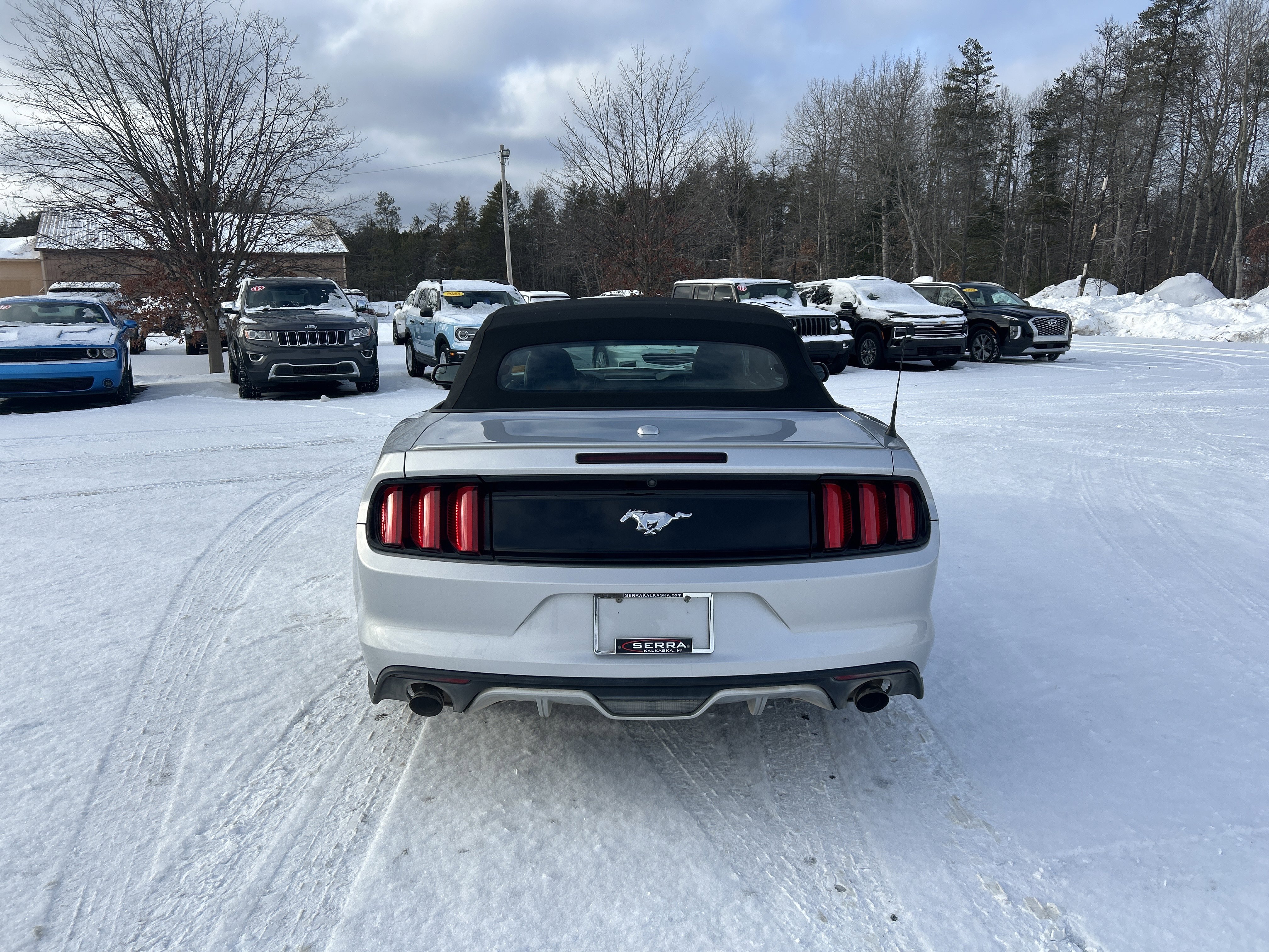 Used 2017 Ford Mustang Premium image 4