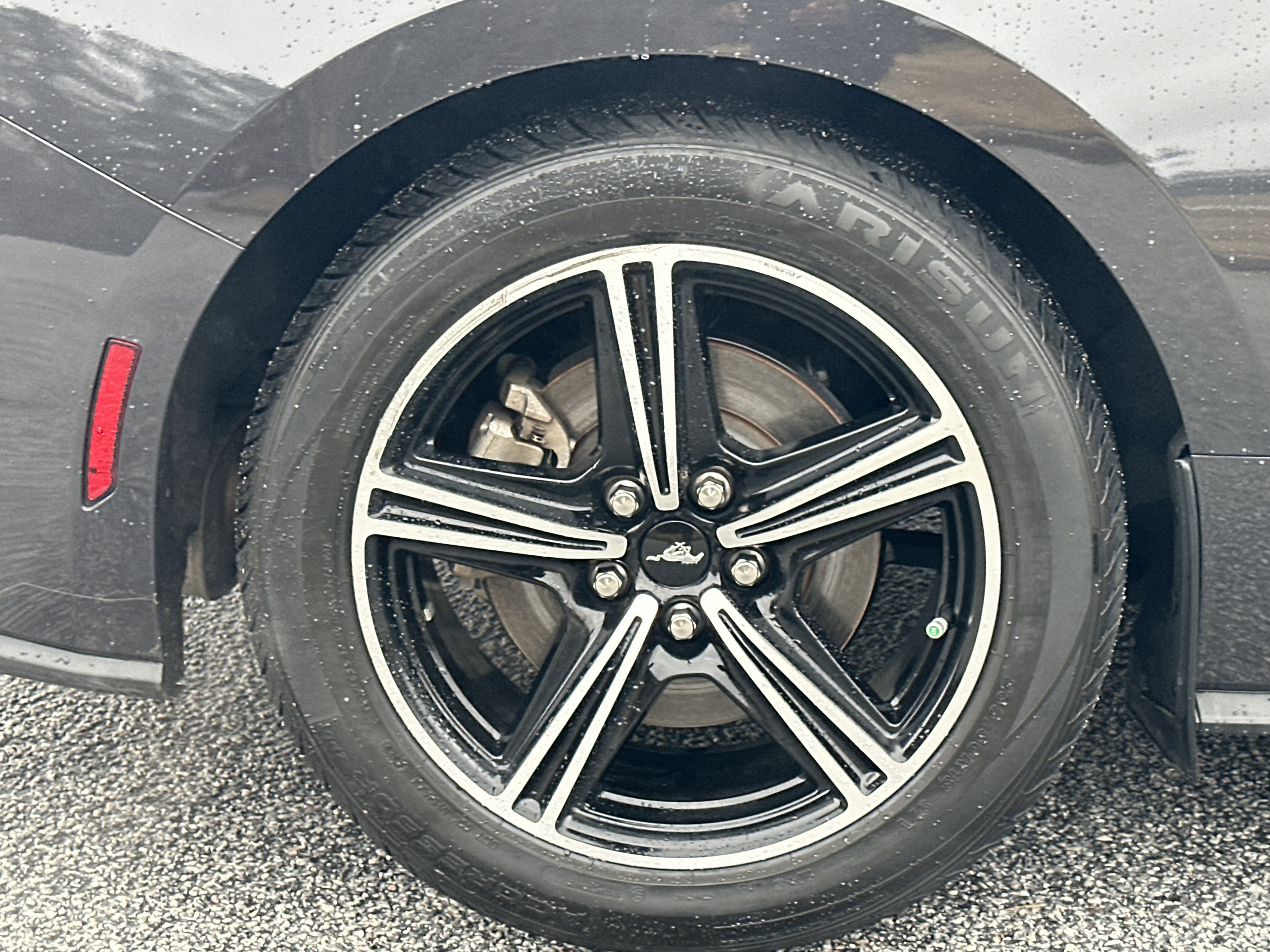 Used 2024 Ford Mustang Premium image 15