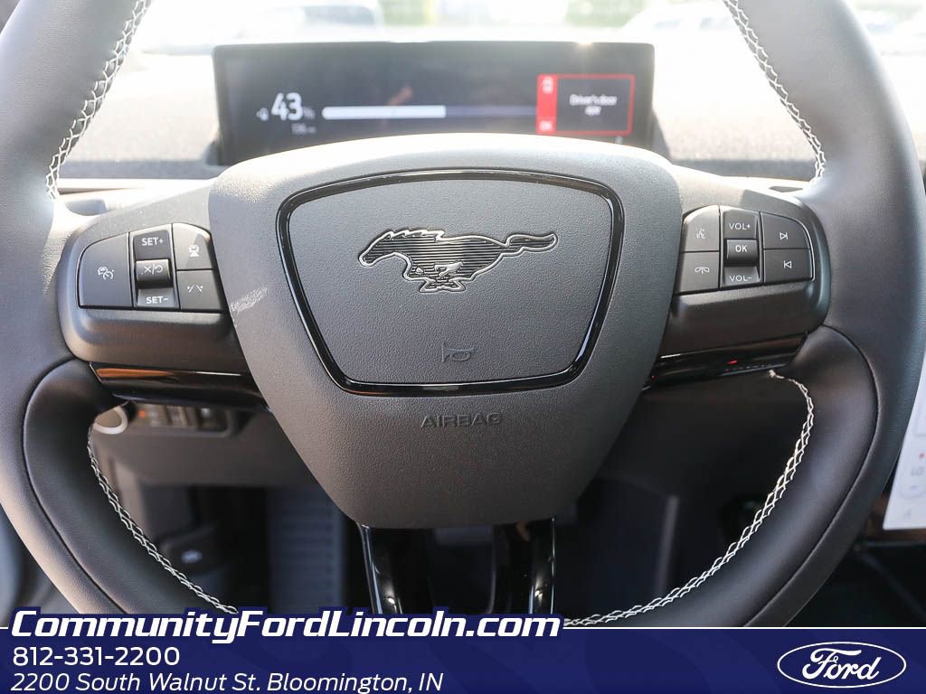 New 2025 Ford Mustang Mach-E GT image 13