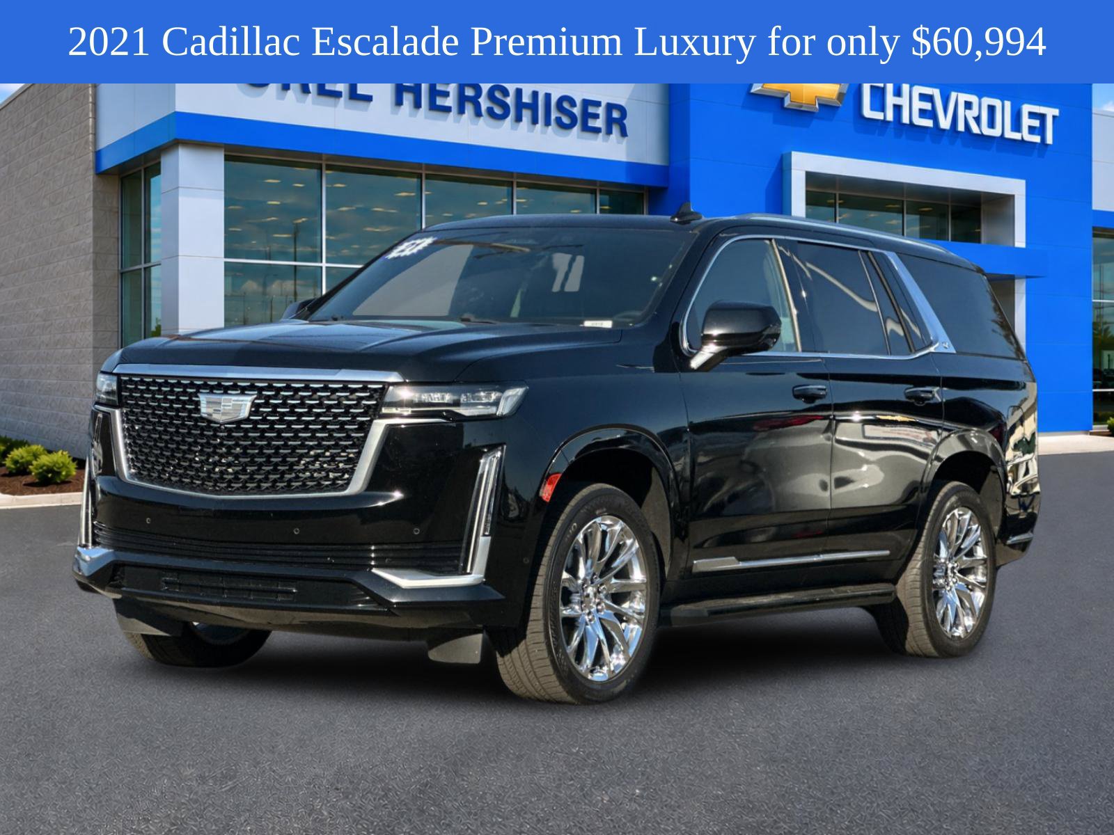 Used 2021 Cadillac Escalade Premium Luxury w/ LPO, Radiant Package AWD/4WD image 9