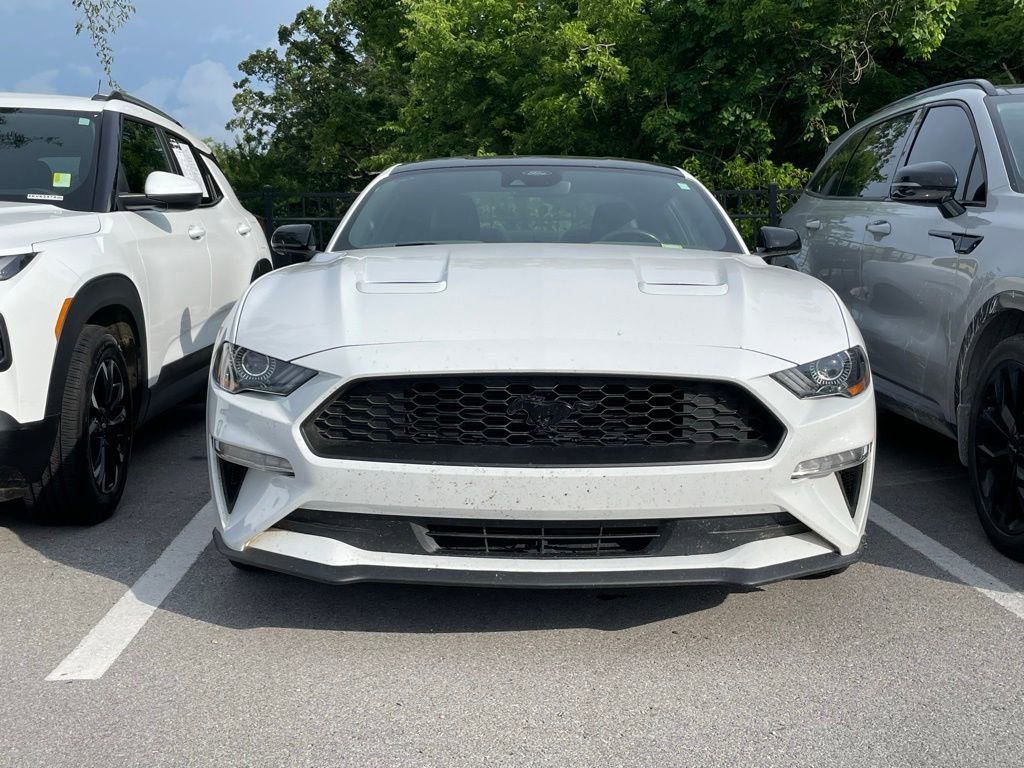Used 2023 Ford Mustang Premium w/ Mustang Nite Pony Package RWD image 2