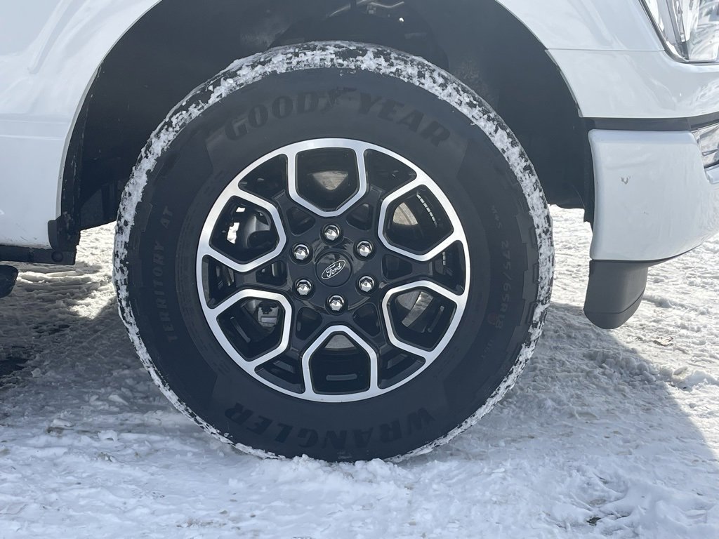 Used 2023 Ford F150 XLT w/ Equipment Group 302A High image 9