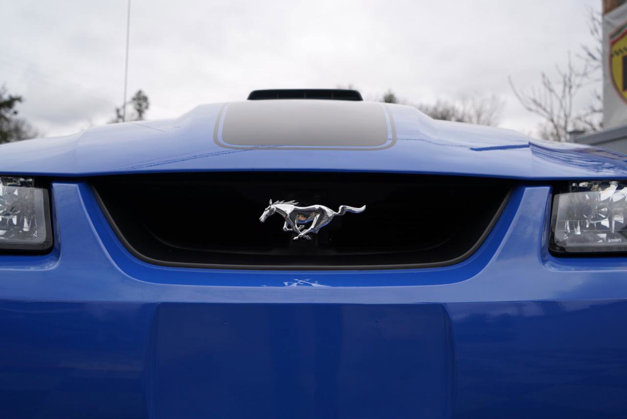 Used 2003 Ford Mustang Mach 1 image 88