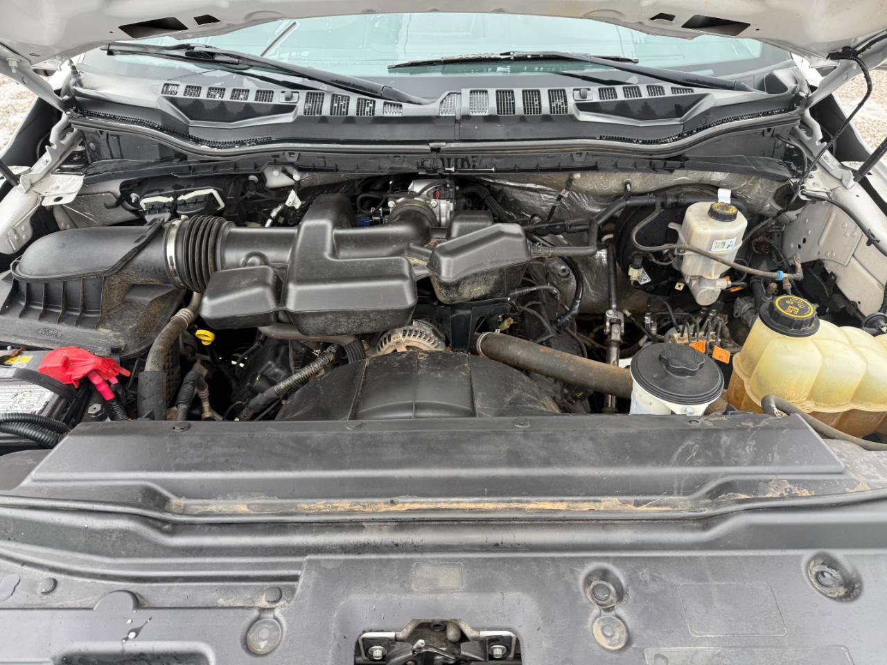 Used 2019 Ford F250 XL w/ Power Equipment Group image 9