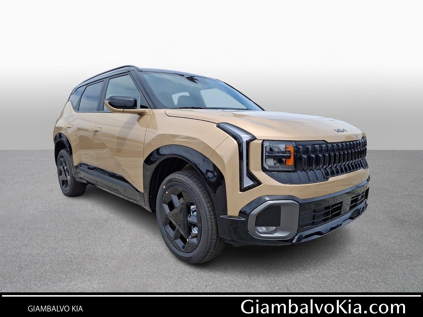 New 2027 Kia Seltos X-Line