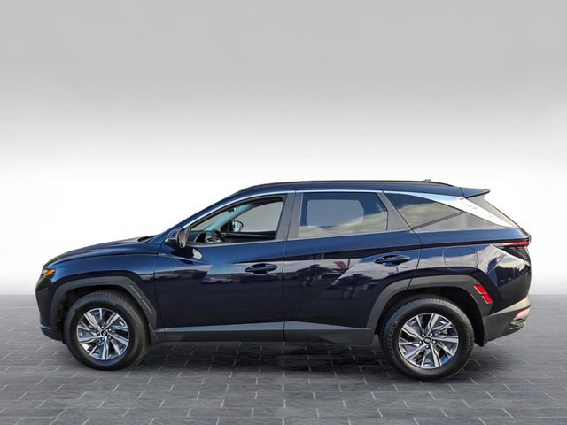 Used 2022 Hyundai Tucson Blue AWD/4WD image 4
