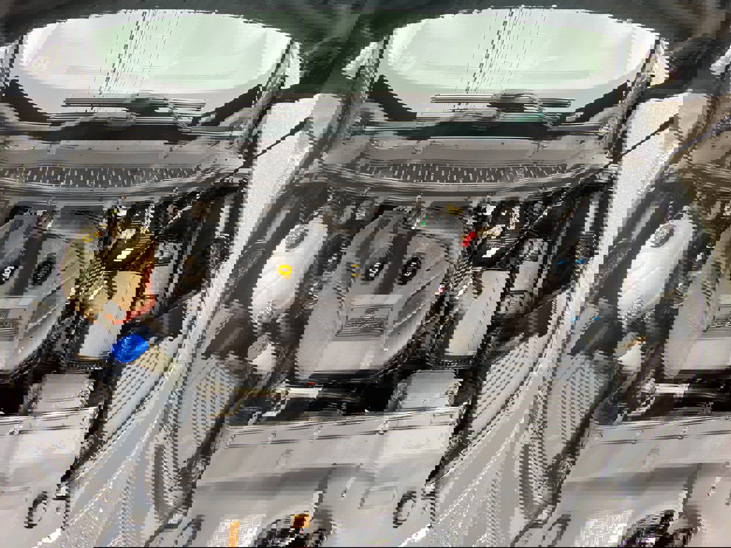 Used 2015 Ford Edge SE FWD image 17