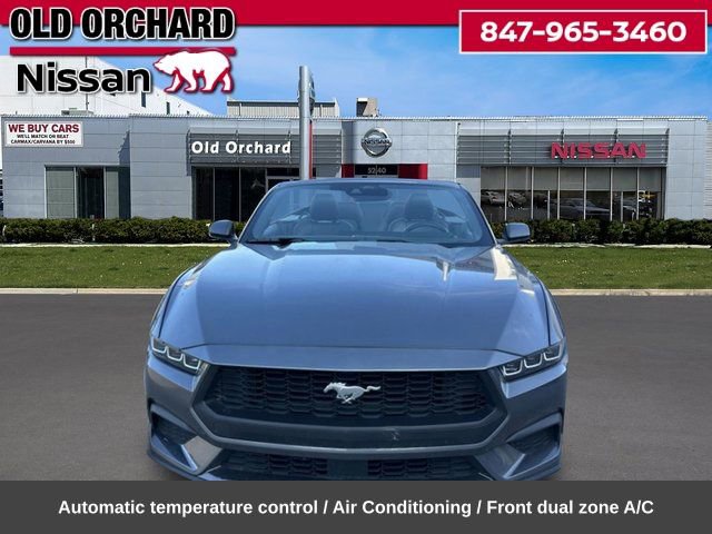 Used 2024 Ford Mustang Premium video 2