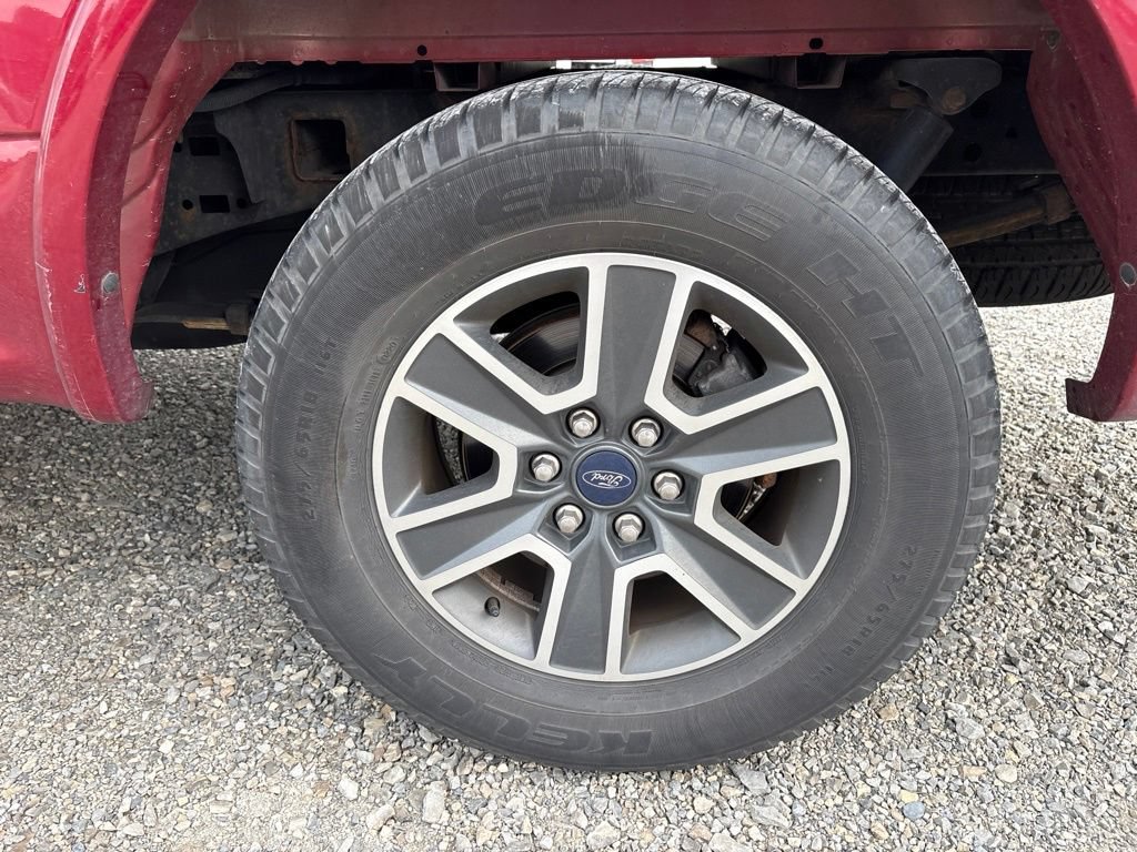 Used 2015 Ford F150 XLT w/ Equipment Group 302A Luxury AWD/4WD image 7