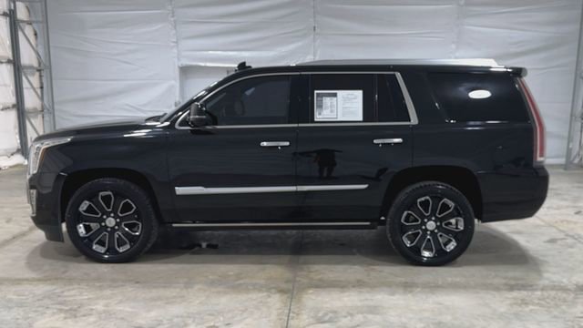 Certified 2020 Cadillac Escalade Platinum image 5