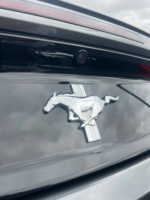 Used 2017 Ford Mustang Convertible w/ Equipment Group 051A RWD image 11