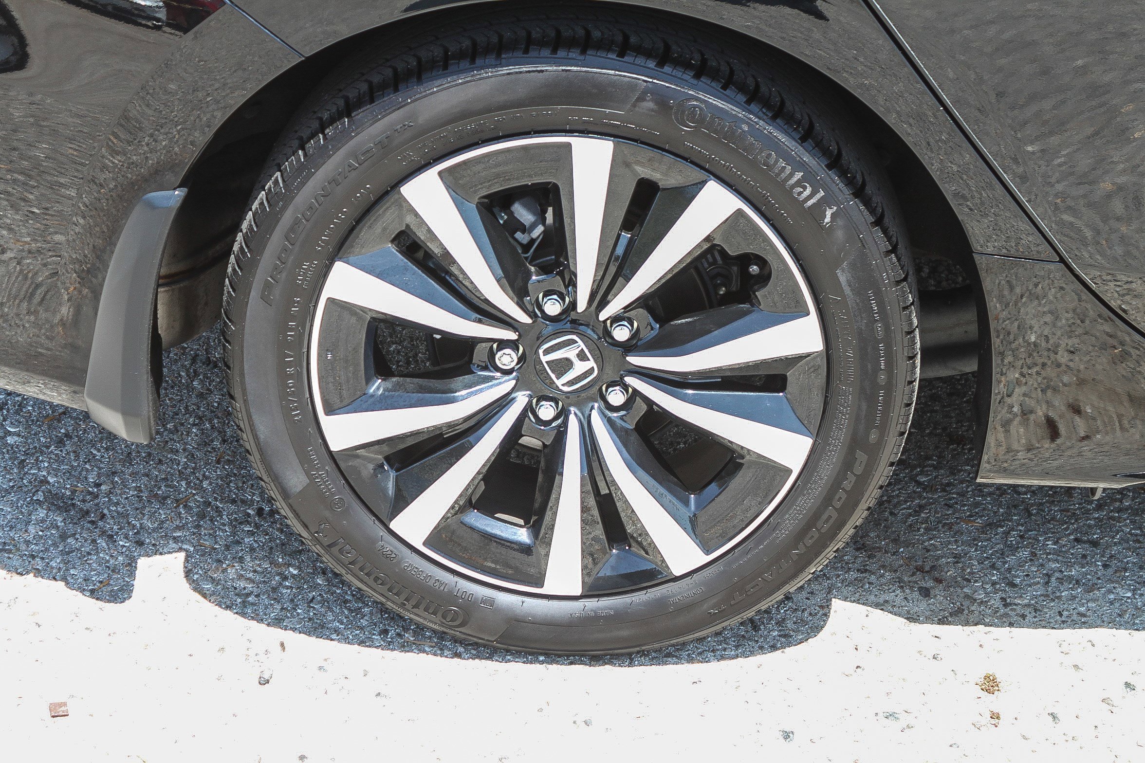 Certified 2024 Honda Civic EX-L image 12