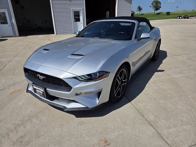 Used 2018 Ford Mustang Premium w/ Equipment Group 201A image 1