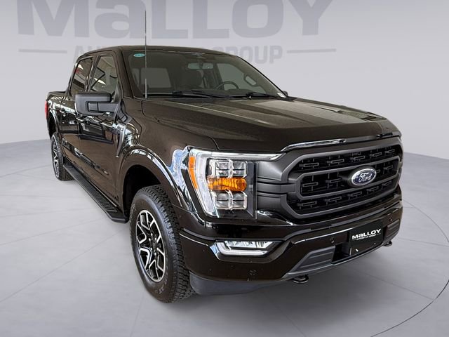 Certified 2023 Ford F150 XLT w/ Equipment Group 302A High AWD/4WD image 7