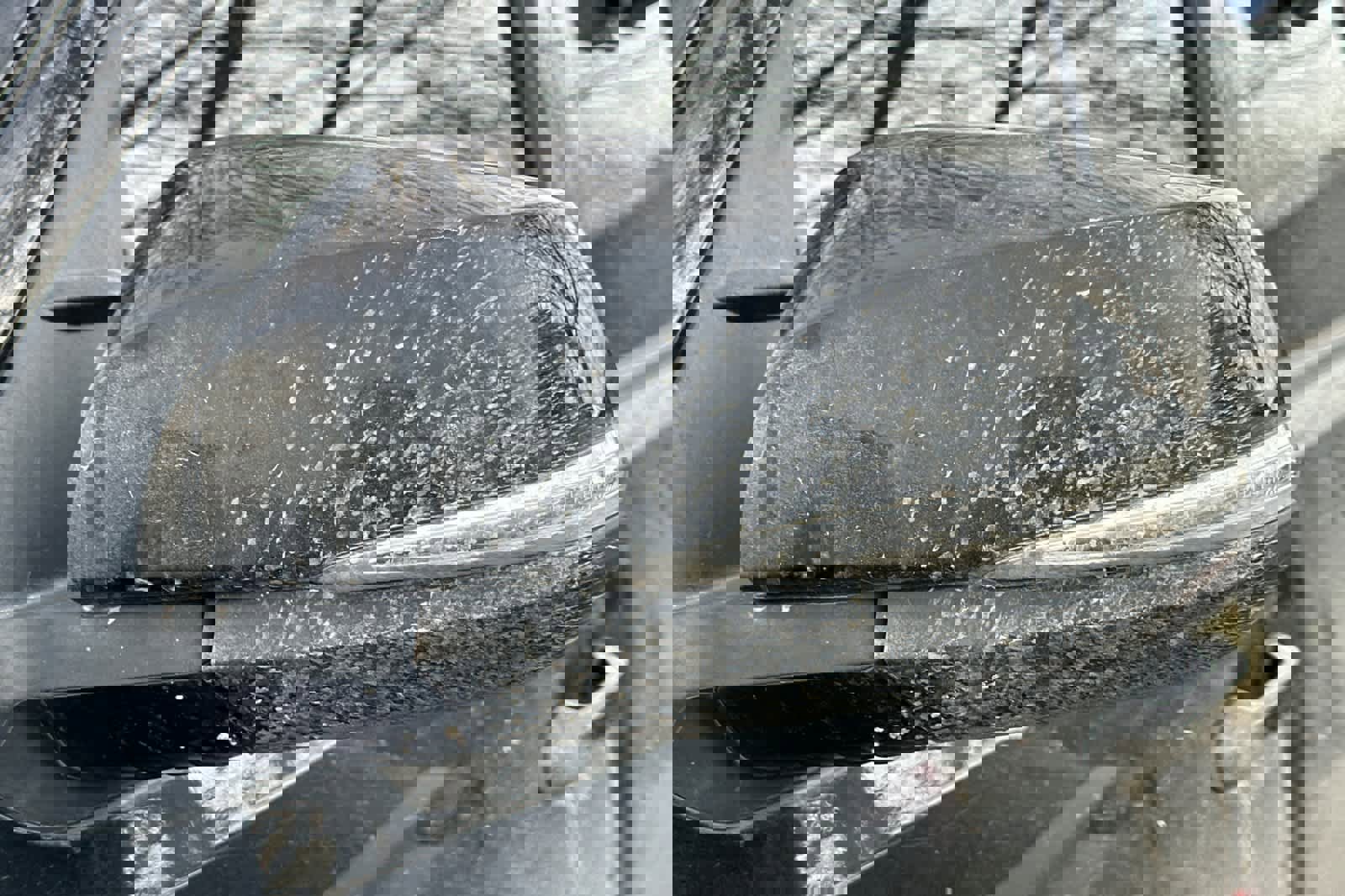 Used 2021 Toyota Tacoma TRD Off-Road image 7