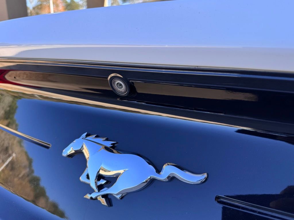 Used 2020 Ford Mustang EcoBoost image 13