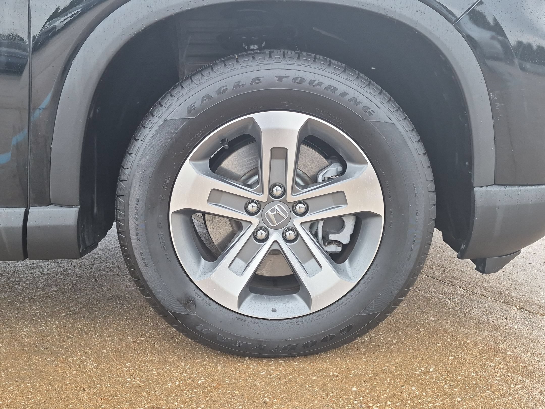Certified 2025 Honda Pilot EX-L image 33