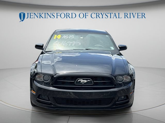 Used 2014 Ford Mustang Premium w/ Equipment Group 202A RWD image 11