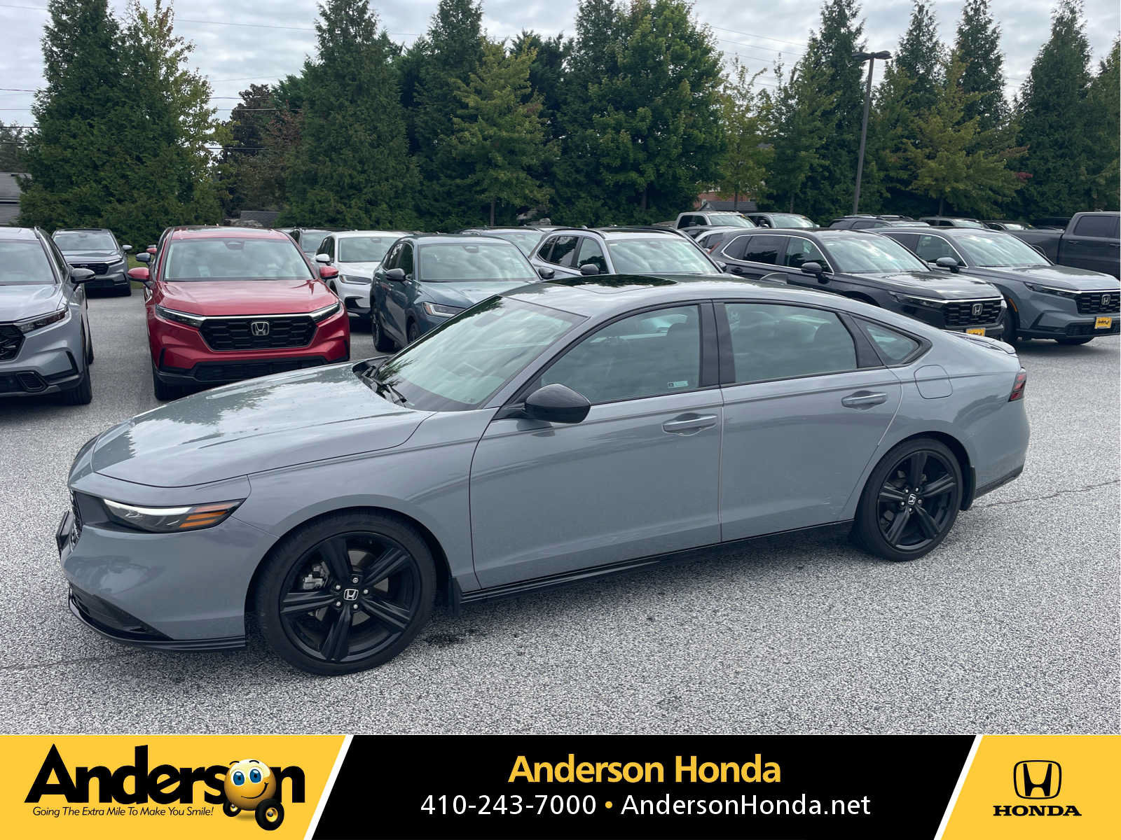 Used 2024 Honda Accord Sport image 1