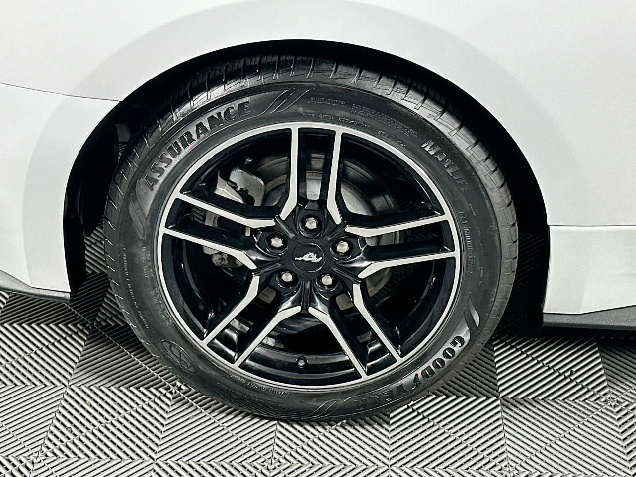 Used 2023 Ford Mustang Premium RWD image 32