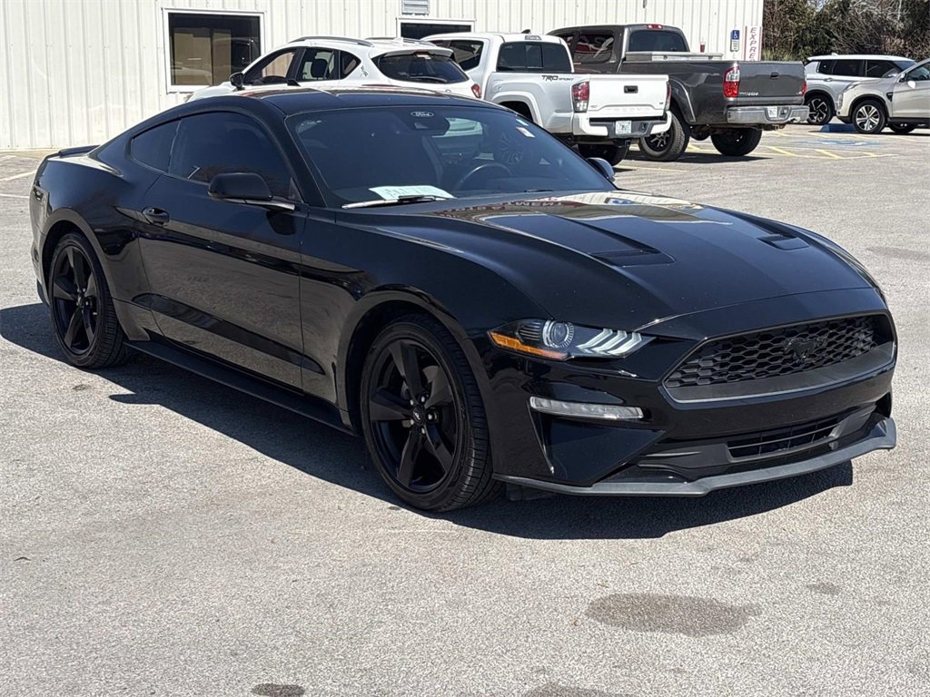 Used 2023 Ford Mustang Coupe w/ Equipment Group 101A image 7