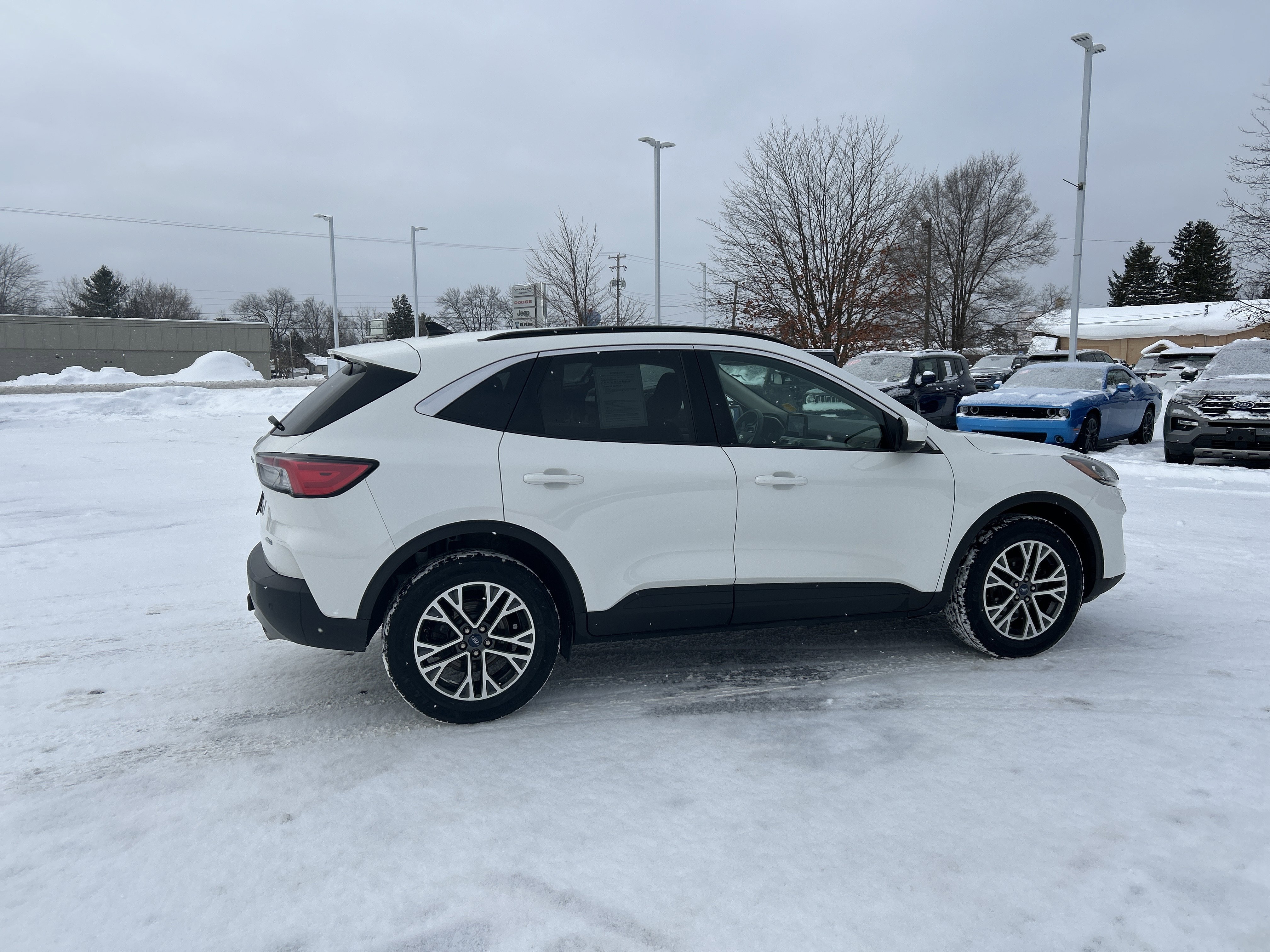Used 2020 Ford Escape SEL image 3