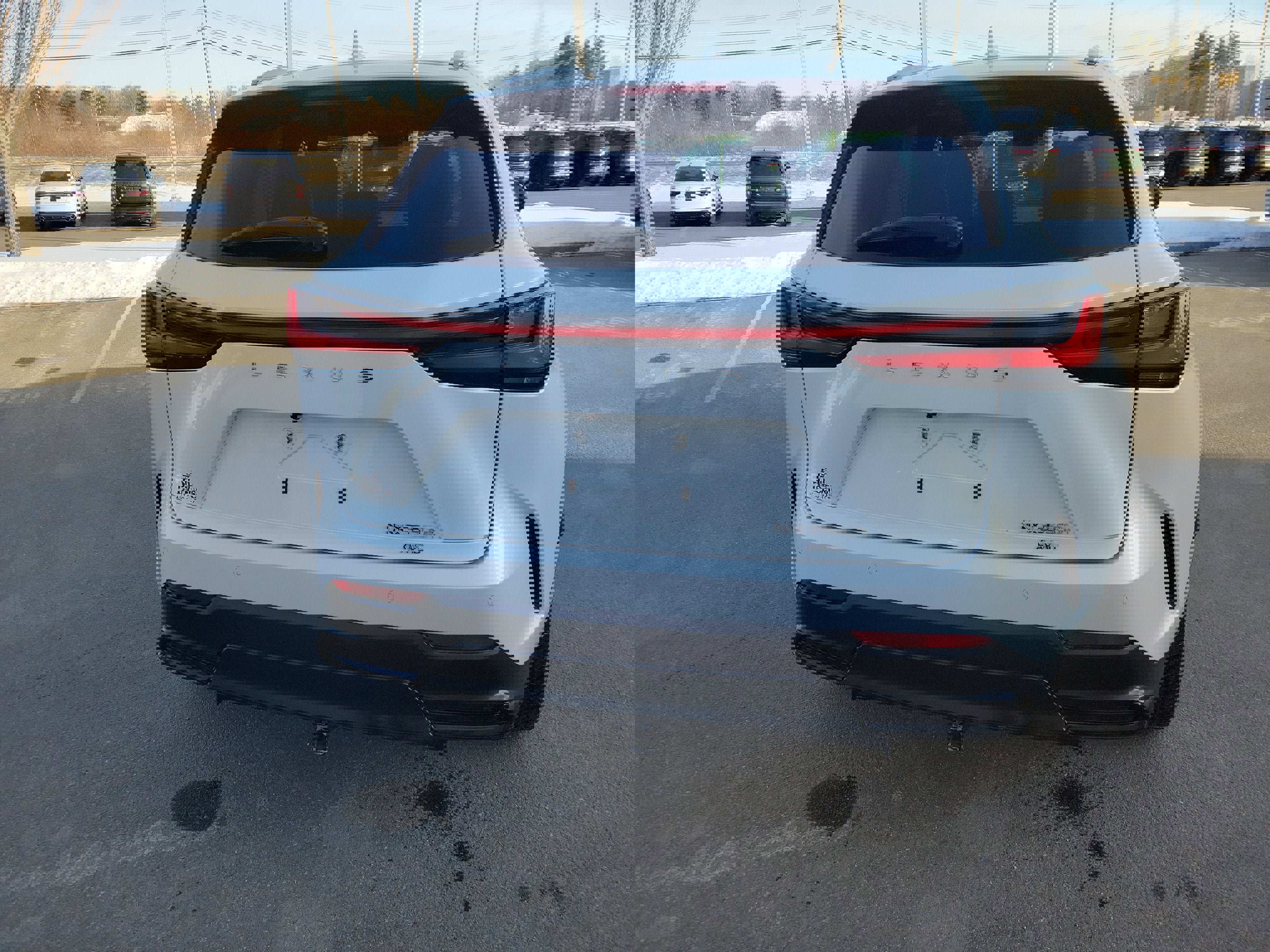 Used 2024 Lexus NX 350h AWD image 6