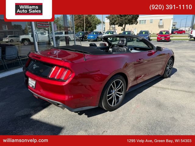 Used 2017 Ford Mustang Premium RWD image 3