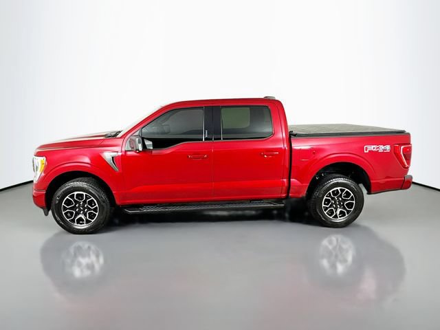 Used 2021 Ford F150 XLT w/ Equipment Group 302A High AWD/4WD image 11