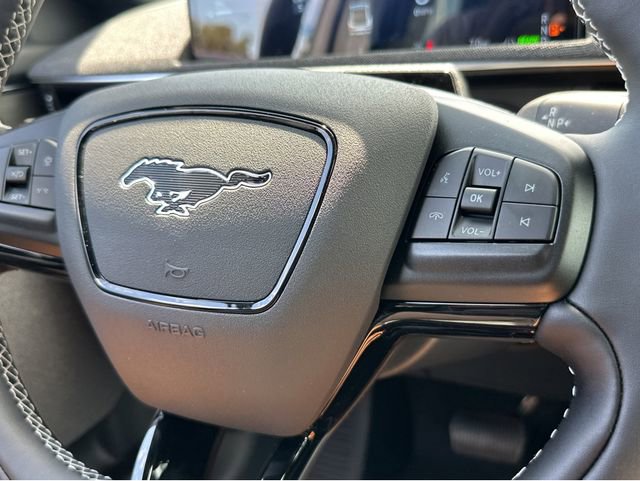 New 2025 Ford Mustang Mach-E GT w/ Bronze Appearance Package image 25
