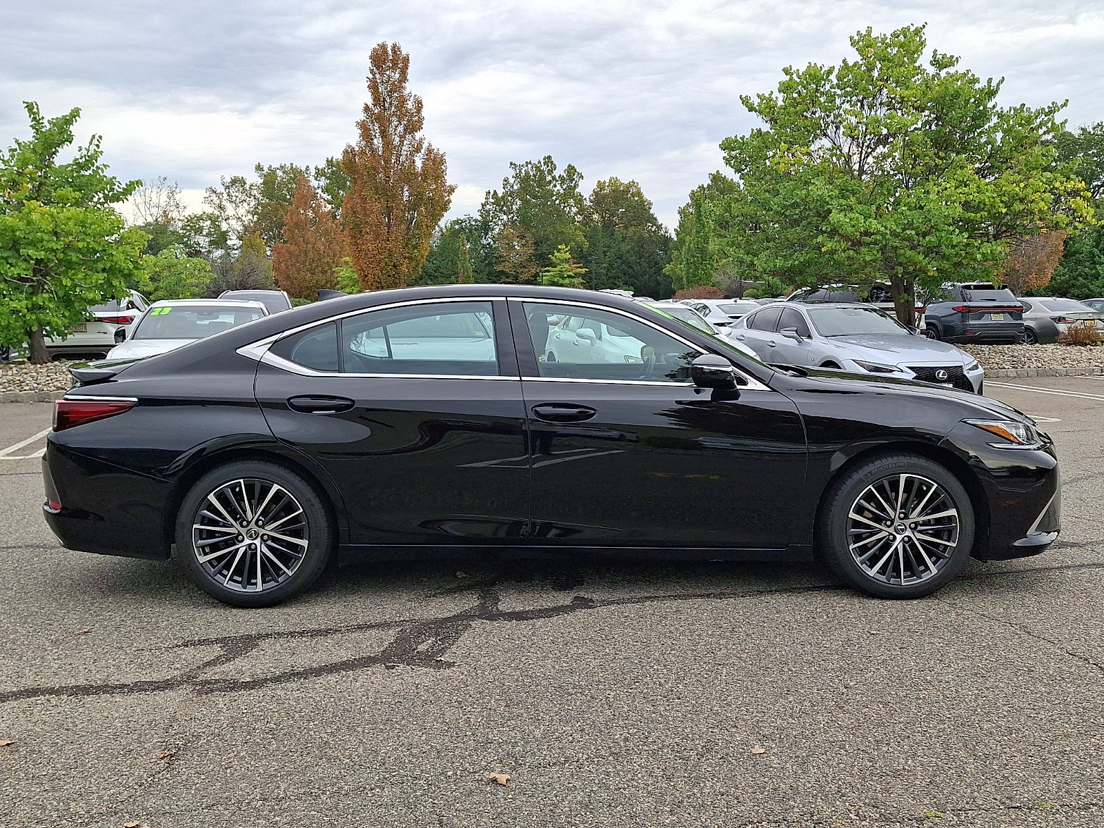Certified 2024 Lexus ES 350 w/ Premium Package FWD image 8