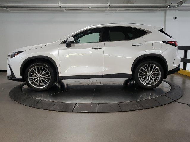 Certified 2024 Lexus NX 350 AWD w/ Vision Package image 14