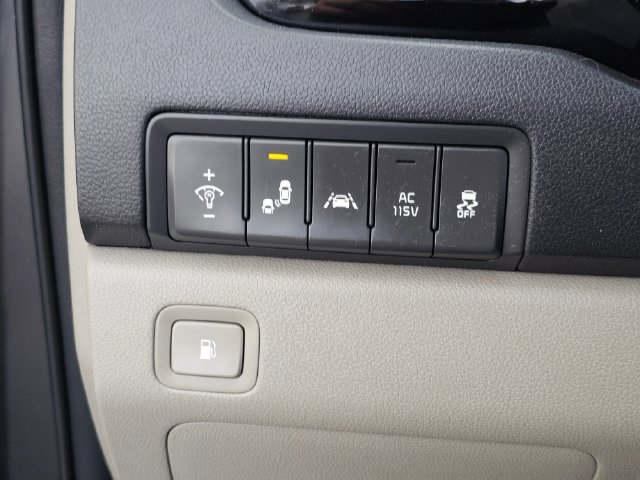 Used 2018 Kia Sedona SX FWD image 30