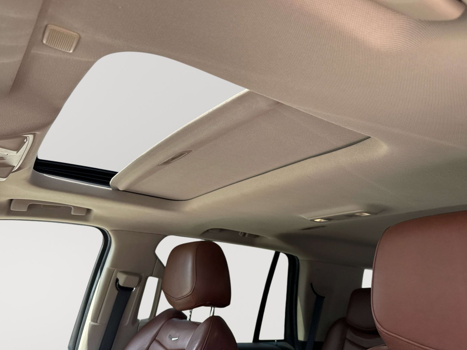 Used 2019 Cadillac Escalade Luxury image 19