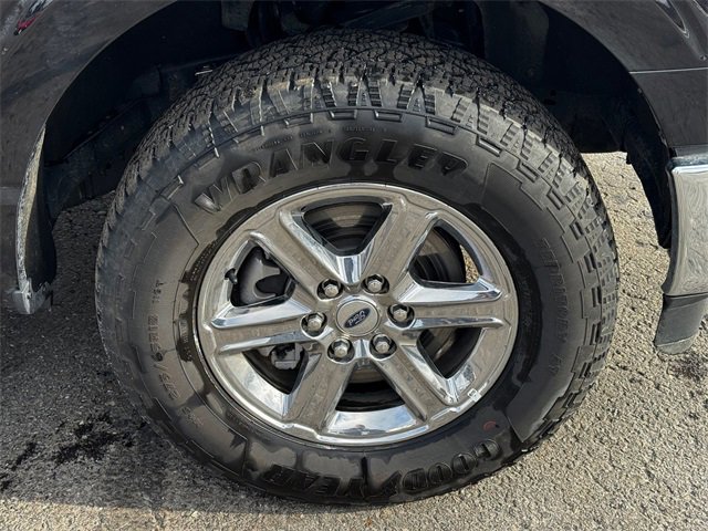 Used 2025 Ford F150 XLT w/ Equipment Group 301A Standard image 9