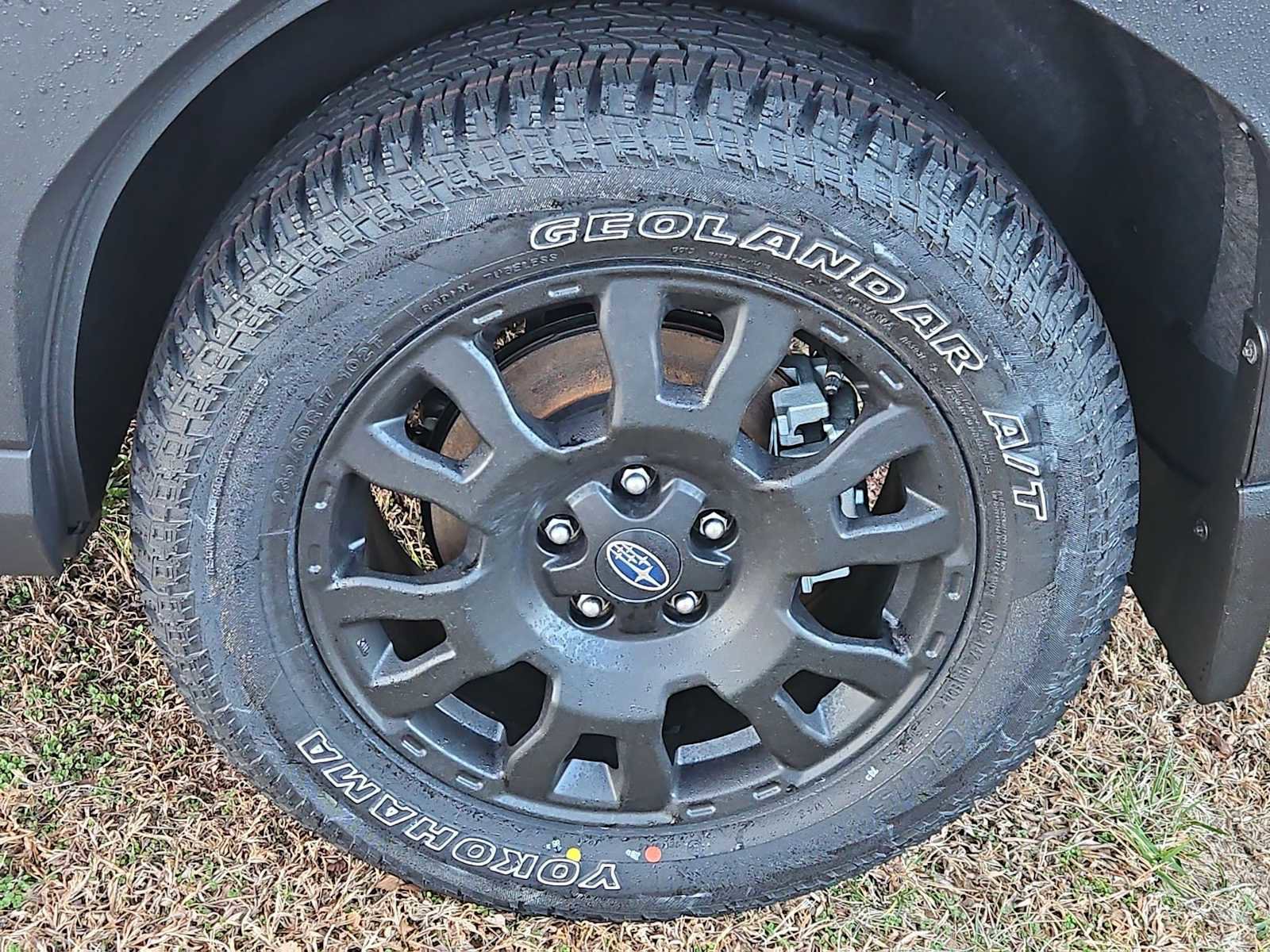 New 2026 Subaru Forester Wilderness w/ Wilderness Plus Package image 12