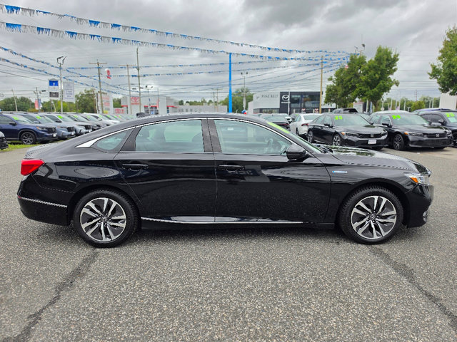 Used 2019 Honda Accord EX-L image 7
