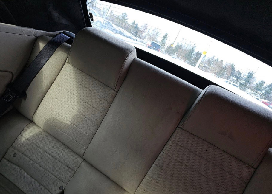 Used 2010 Ford Mustang Premium image 18