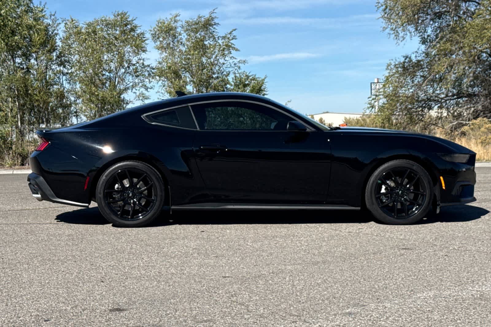 Certified 2024 Ford Mustang Premium w/ Mustang Nite Pony Package RWD image 8