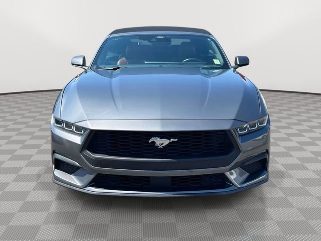 Used 2024 Ford Mustang Premium RWD image 2
