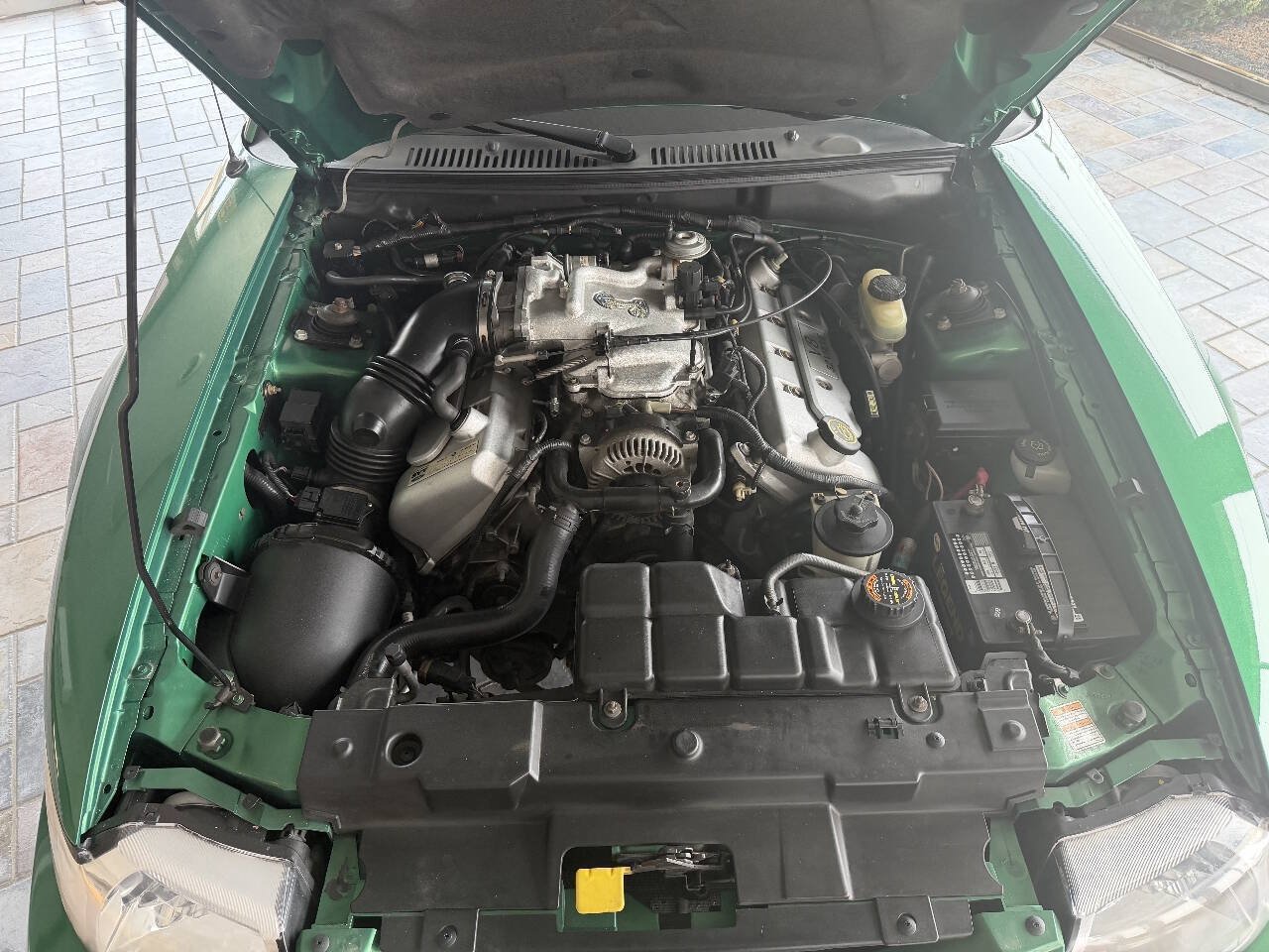 Used 1999 Ford Mustang Cobra RWD image 8