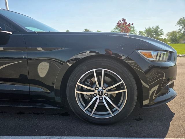 Used 2015 Ford Mustang Premium RWD image 6