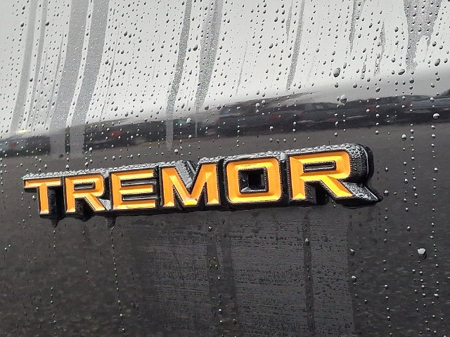 New 2026 Ford Expedition Tremor AWD/4WD image 10