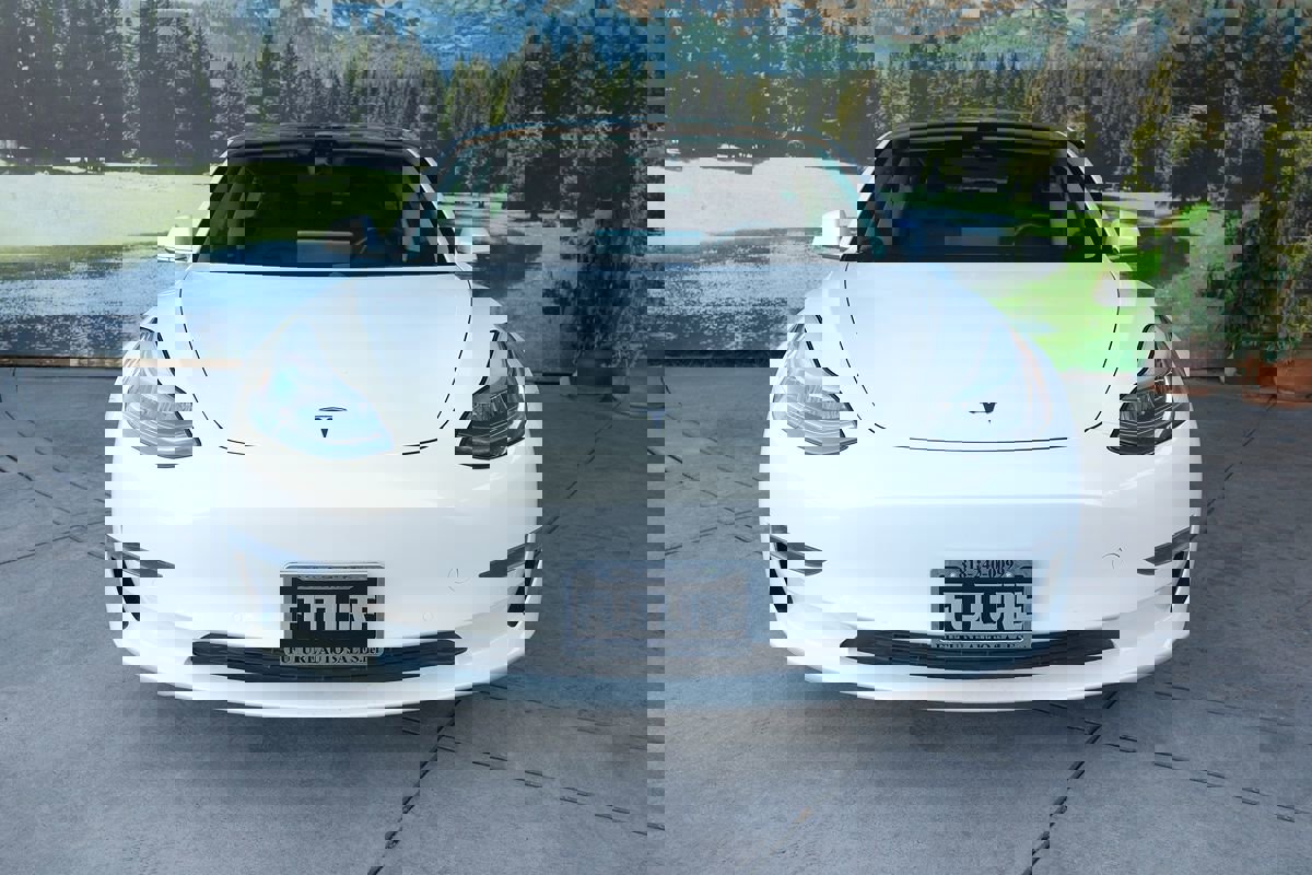 Used 2020 Tesla Model 3 Standard Range Plus image 2