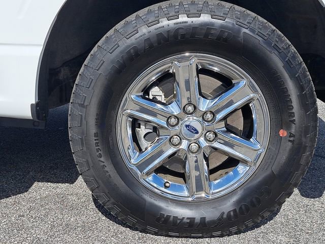 Certified 2025 Ford F150 XLT w/ Equipment Group 301A Standard image 6